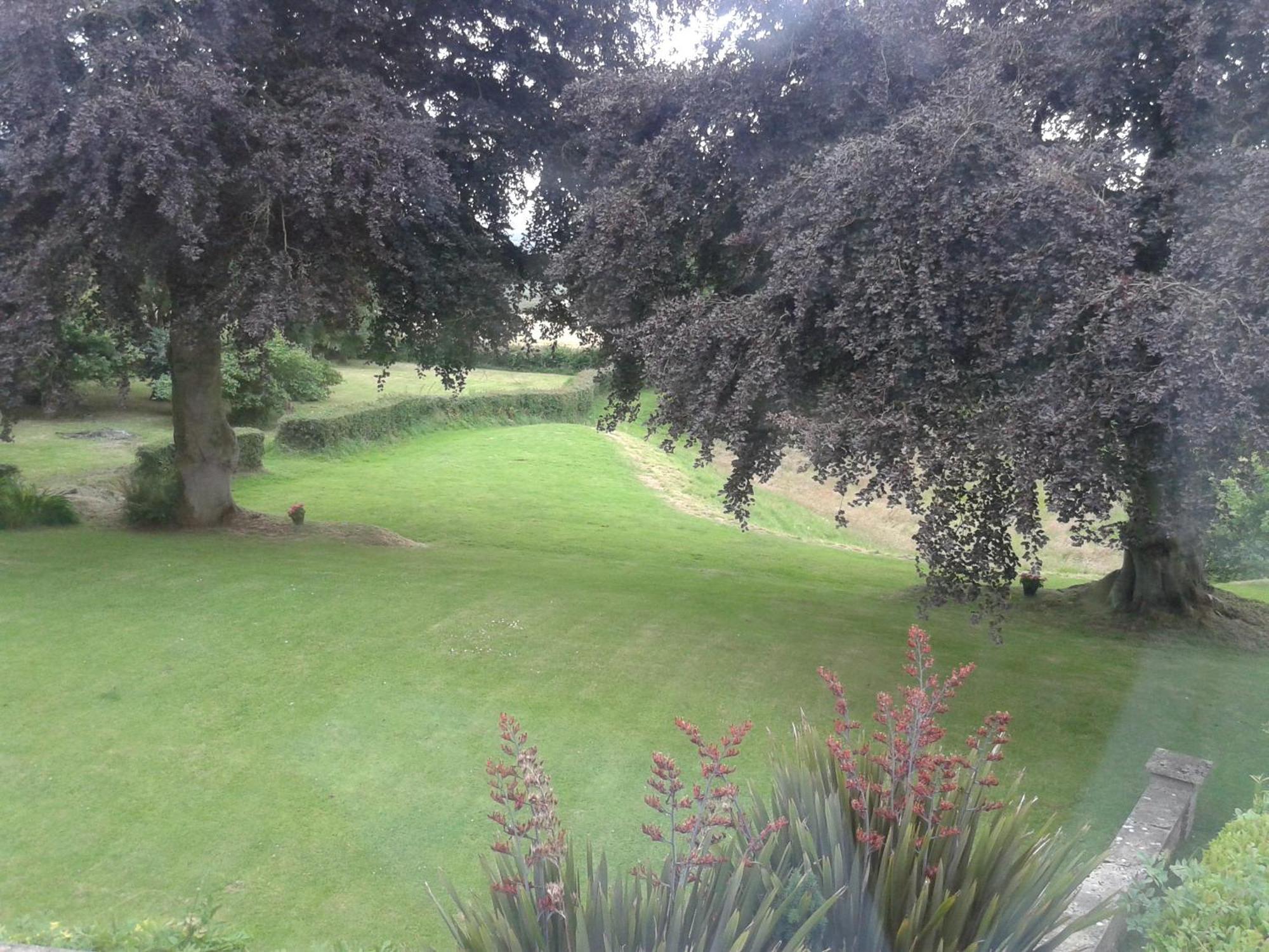Buckley Farmhouse B & B Sidmouth Room photo